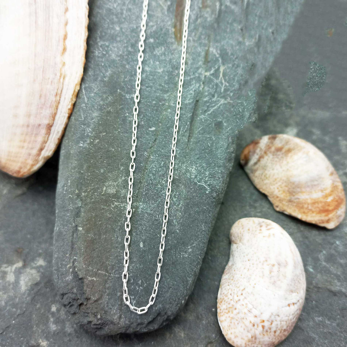 Silver chain necklace on a stone surface with seashells