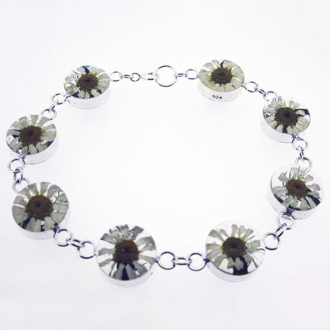 Real pressed daisies silver bracelet
