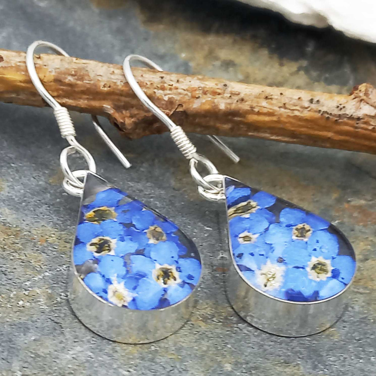Real pressed blue forget-me-not flower earrings