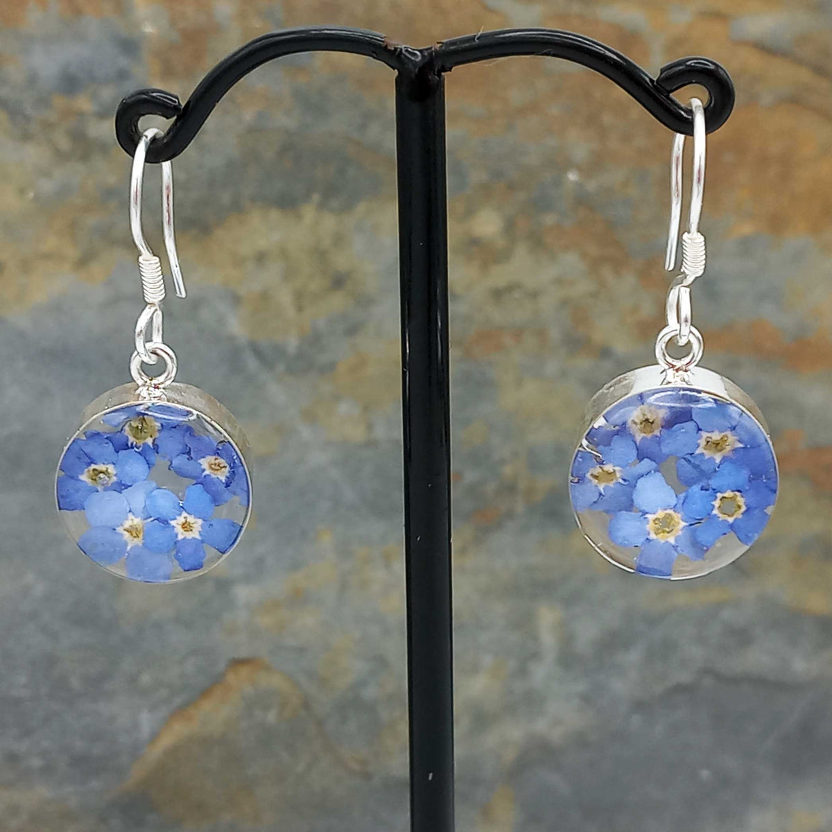 Real Forget-me-not Silver Flower Earrings