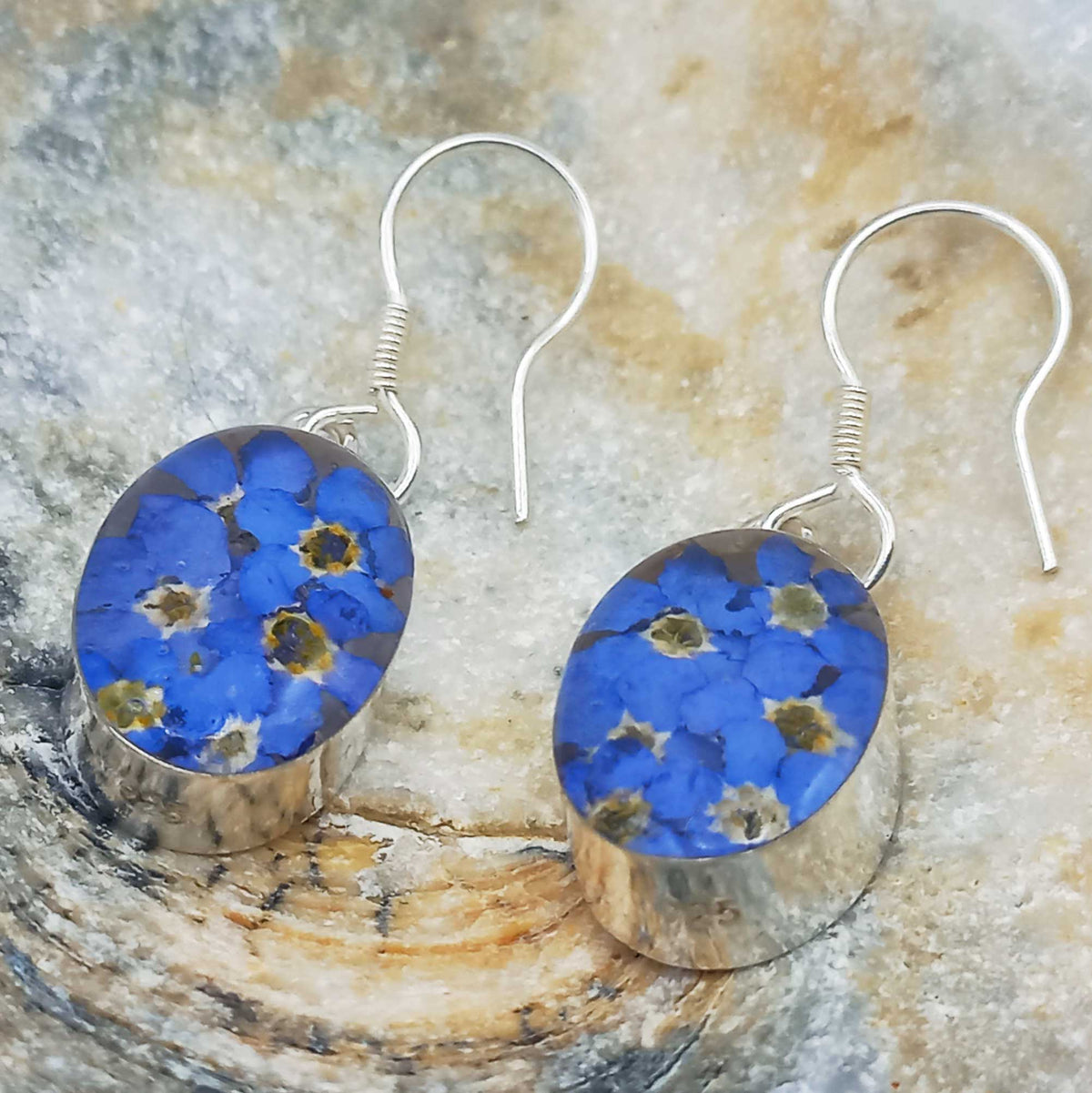 Real forget-me-not earrings Main image