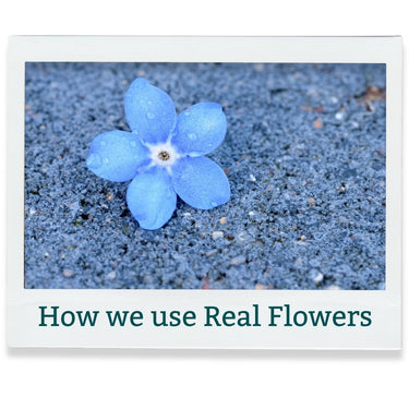 Forget-me-not flower on sandy ground with text 'How we use Real Flowers' at the bottom.