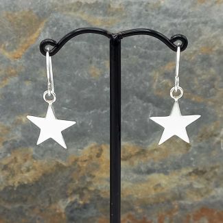 Polished Star Silver Earring