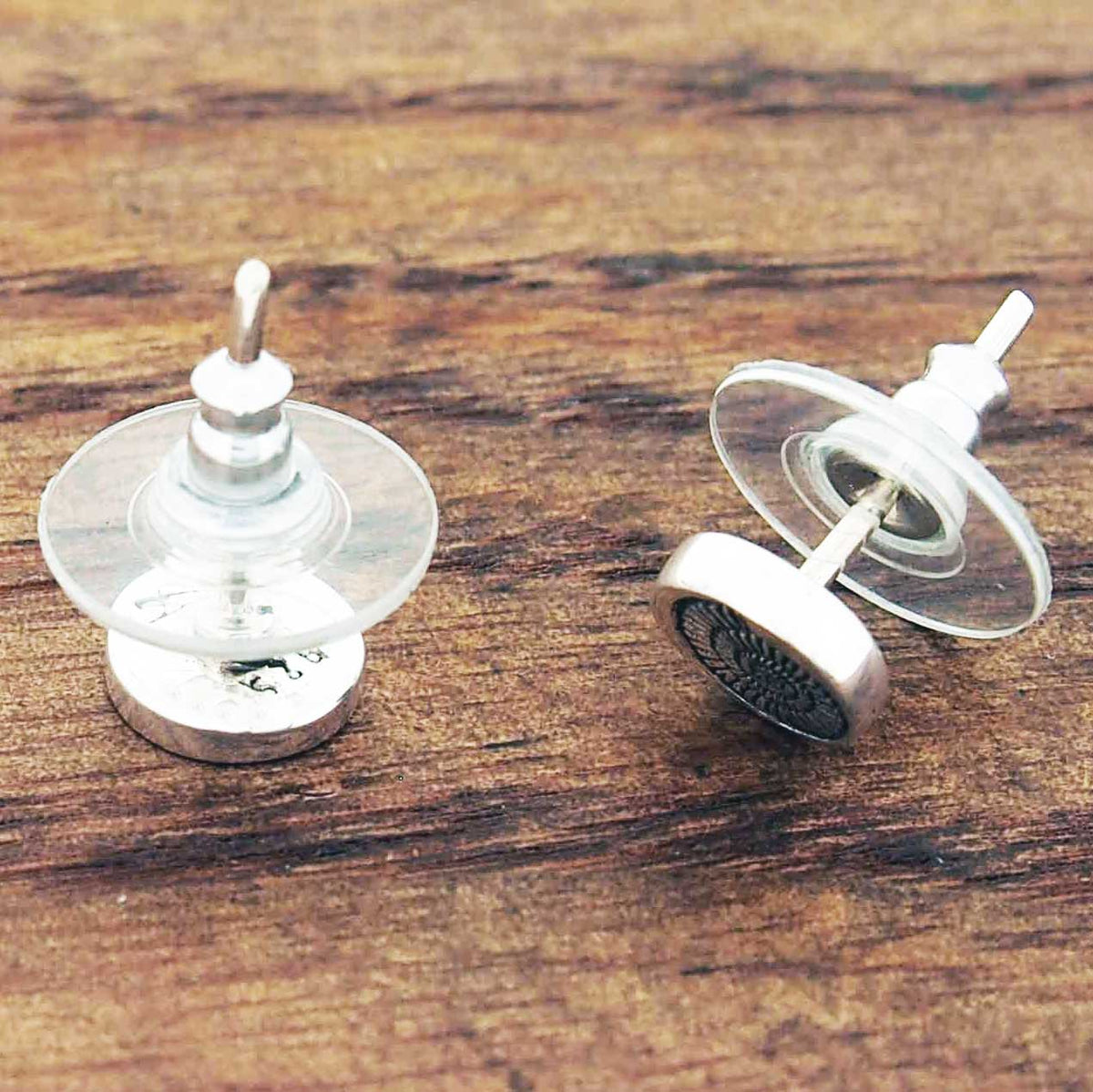 Ammonite fossil studs with backs