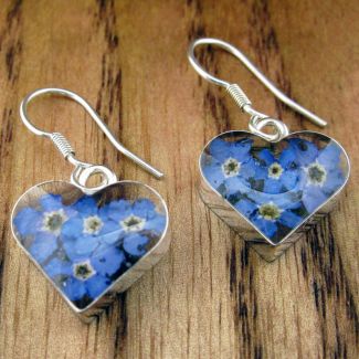Handmade real Forget-me-not earrings