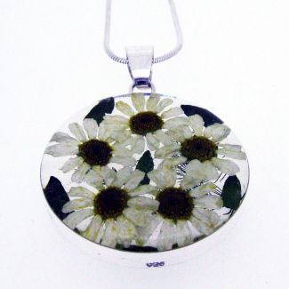 Real daisies handmade silver large pendant