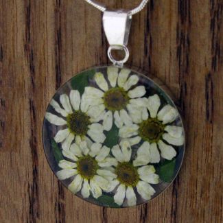 Real pressed Daisy silver pendant