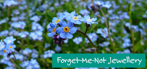 Forget-me-not Jewellery