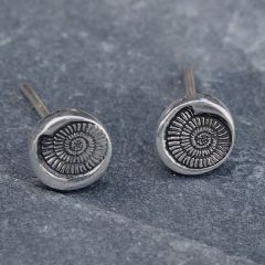 Ammonite Sterling Silver Earrings